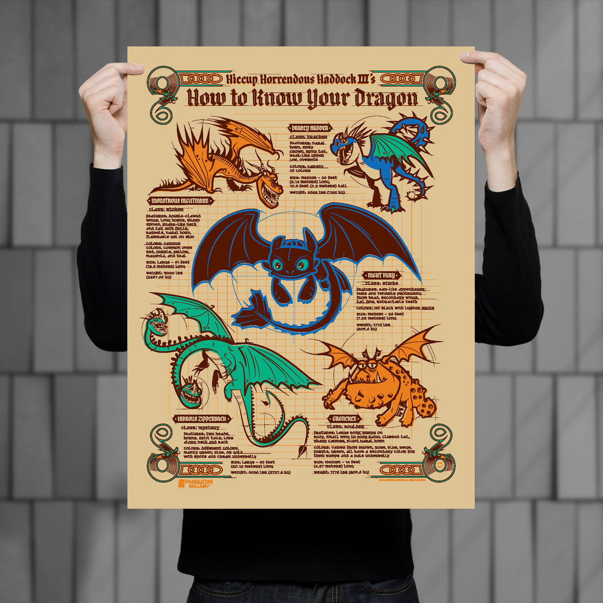 types of dragons poster