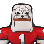 Bleacher Creatures Georgia Bulldogs Hairy Dawg 24" Mascot Bleacher Buddy