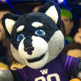 Bleacher Creatures Washington Huskies Harry the Husky 10" Plush Figure