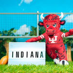 Bleacher Creatures Indiana Hoosiers Bison 10" Mascot Plush Figure
