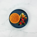 Uncanny Brands Michigan Wolverines Mini Waffle Maker