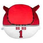 Sleep Squad Arkansas Razorbacks Big Red 12" Mascot Kiri Cloud Plushie