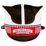 Sleep Squad Wisconsin Badgers Bucky Badger 12" Mascot Kiri Cloud Plushie