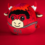 Sleep Squad Chicago Bulls Benny the Bull 12" Mascot Kiri Cloud Plushie