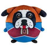 Sleep Squad Colorado Avalanche Bernie 12" Mascot Kiri Cloud Plushie