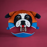 Sleep Squad Colorado Avalanche Bernie 12" Mascot Kiri Cloud Plushie
