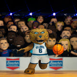 Bleacher Creatures Villanova Wildcats Will D. Cat 10" Mascot Plush Figure