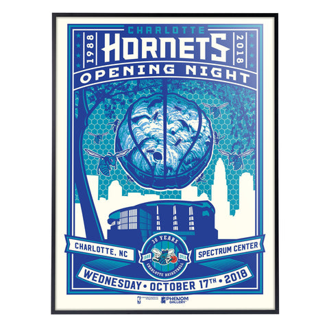 Phenom Gallery Charlotte Hornets 30th Anniversary Deluxe Framed Serigraph (Printer Proof)