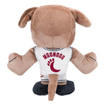 Bleacher Creatures Cleveland Cavaliers Moondog 8" Mascot Kuricha Plush