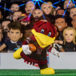 Bleacher Creatures South Carolina Gamecocks Cocky 10" Mascot Plush Figure