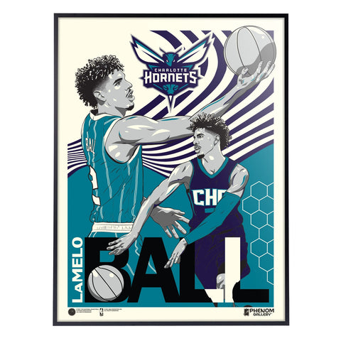 Phenom Gallery Charlotte Hornets LaMelo Ball 18" x 24" Deluxe Framed Serigraph