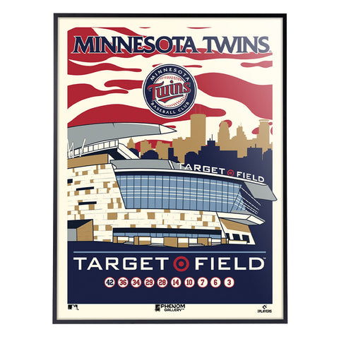 Phenom Gallery Minnesota Twins Target Field 18" x 24" Deluxe Framed Serigraph