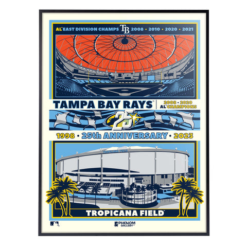 Phenom Gallery Tampa Bay Rays 25th Anniversary 18" x 24" Deluxe Framed Serigraph