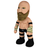Bleacher Creatures WWE Legend Triple H 10" Plush Figure